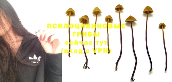 мескалин Мегион