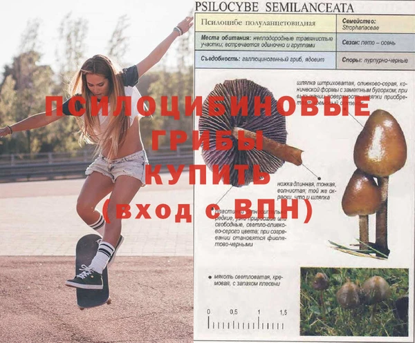кокаин колумбия Медногорск