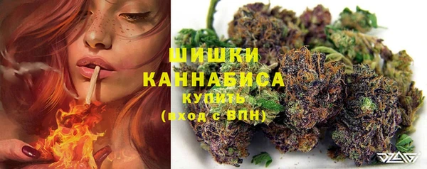 стаф Медвежьегорск