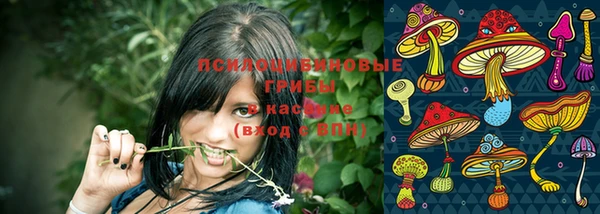мескалин Мегион