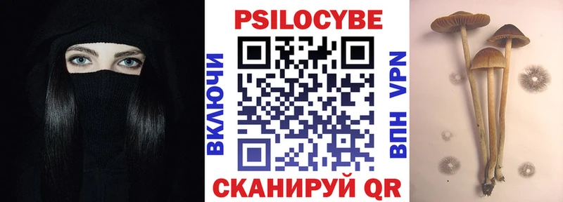 Галлюциногенные грибы MAGIC MUSHROOMS  где найти   Болхов 